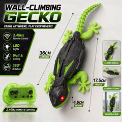 Wall Gecko 🦎 Wiralowa jaszczurka na pilota wspinająca się po ścianach